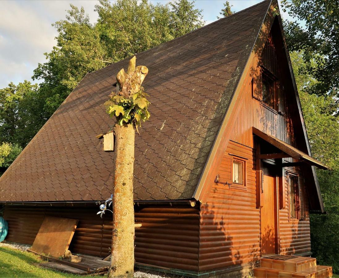 Ferienhaus Ederer Waldmünchen Exterior foto